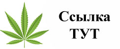 Купить наркотики в Нижнем Новгороде